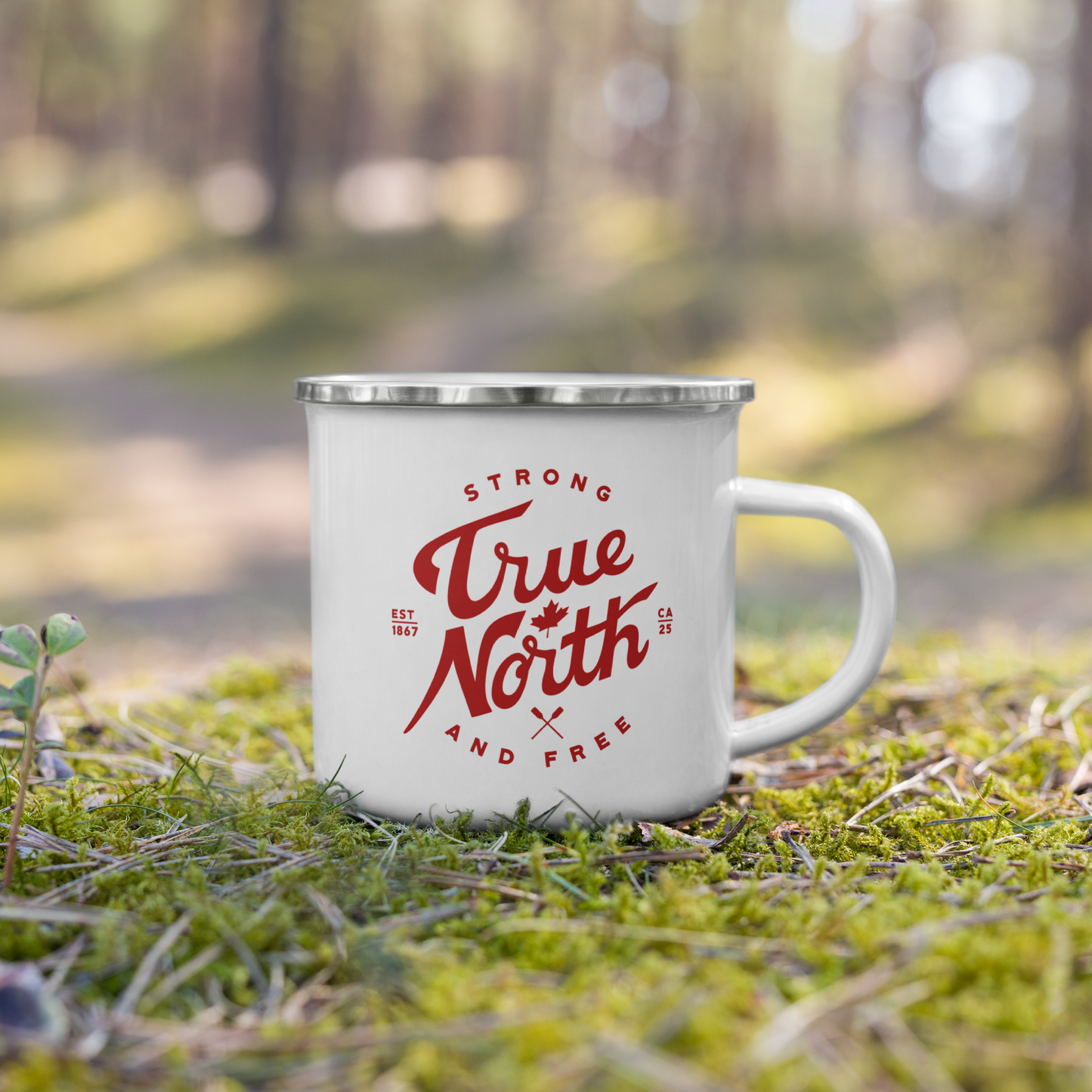 True North Camper Mug